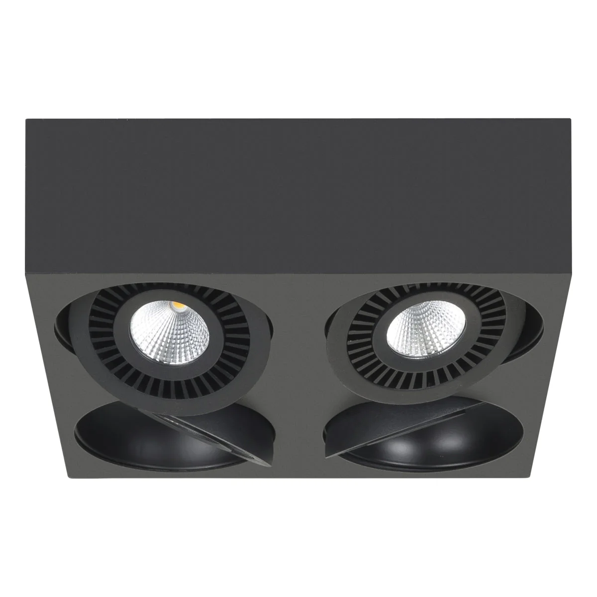 Opbouwspot Eye | Zwart | 4-lichts | 2700K | 4x 5 Watt | Dimbaar