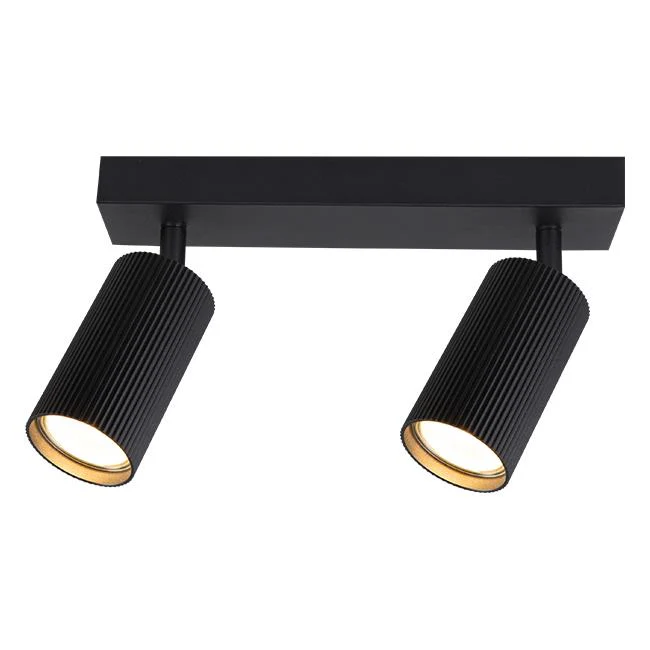 Opbouw plafondspot | LUCERNO | 2x GU10 | Rond | Zwart